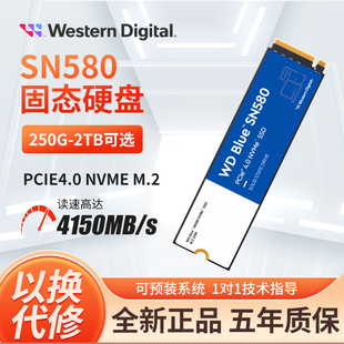 580,固态硬盘M.2SSD,2TNVME,770,1TB,500G,850X,西部数据SN570