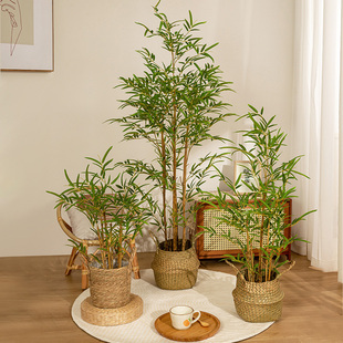 饰摆件,高级仿真绿植竹子盆栽室内客厅新中式,禅意造景假竹子植物装