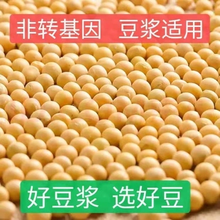 黄豆打豆浆专用黄豆多规格可选,东北农家黄豆500g,新黄豆颗粒饱满