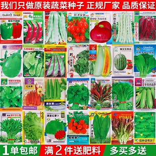 香菜菠菜生菜小白菜萝卜蔬菜种孑籽种大全,四季,蔬菜种子菜种籽秋季