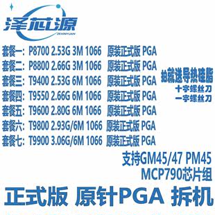 T9600,笔记本CPU,T9800,T9550,P8800,原装,T9900,PM45,P8700,T9400